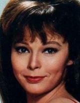 Anne Helm