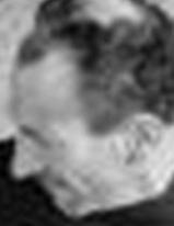 Carlo Bellero