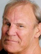 Don Stroud