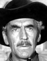 Steve Darrell