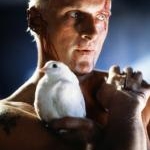 est Roy Batty, un redoutable replicant Nexus 6, dans Blade Runner (1982) de Ridley Scott
