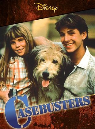 CASEBUSTERS (TV)