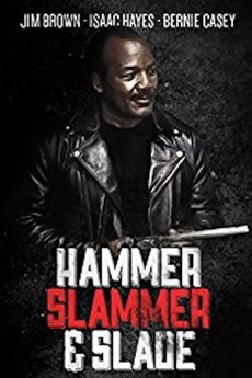 HAMMER, SLAMMER, & SLADE (TV)