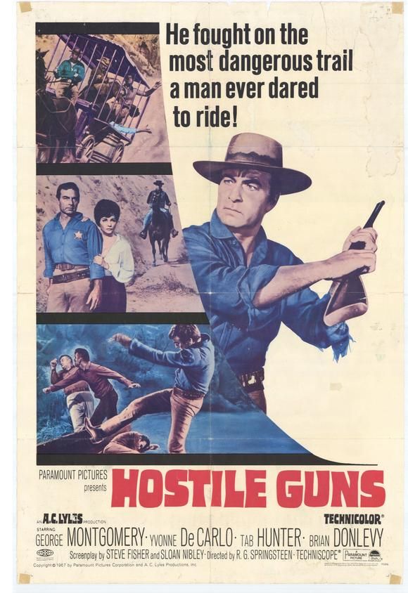 HOSTILE GUNS