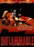 INFLAMMABLE (TV)