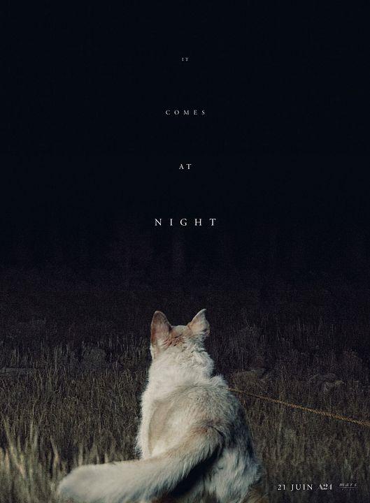 IT COMES AT NIGHT
