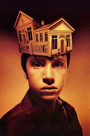 JOE THE KING