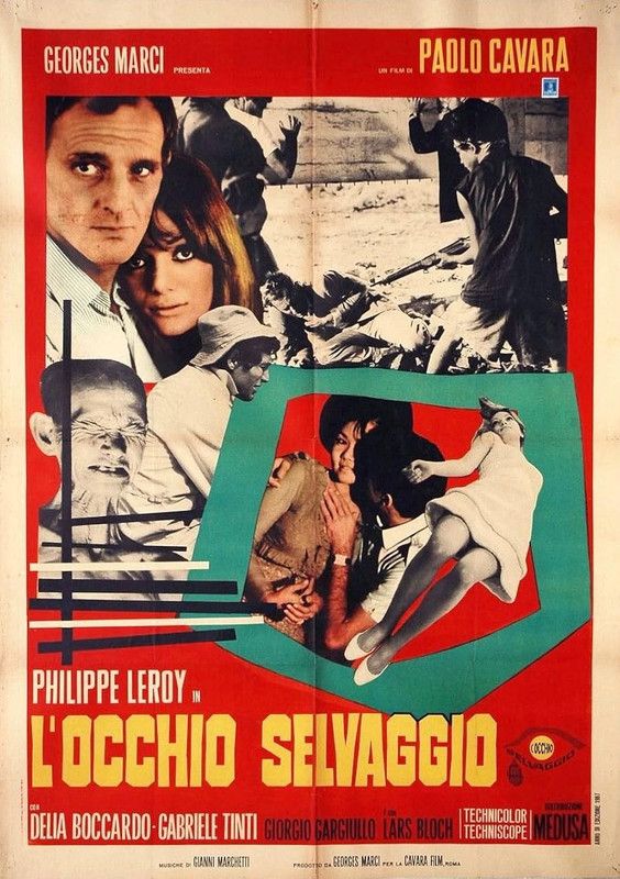 L'OCCHIO SELVAGGIO
