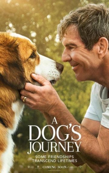 A DOG'S JOURNEY