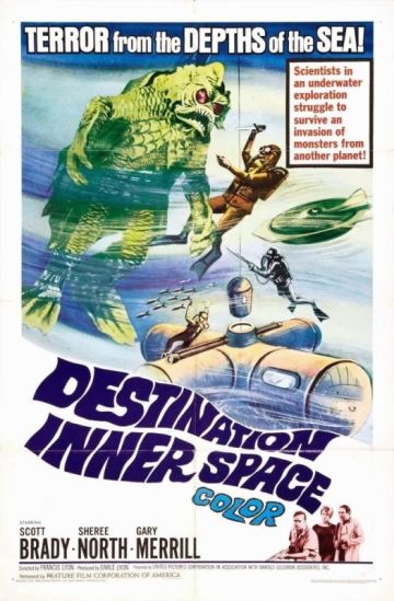 DESTINATION INNER SPACE