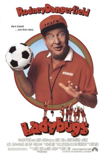LADYBUGS