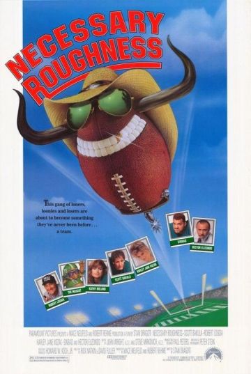 NECESSARY ROUGHNESS