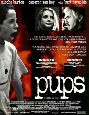PUPS
