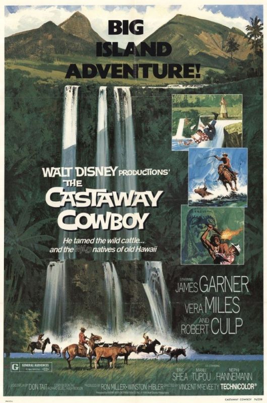 THE CASTAWAY COWBOY