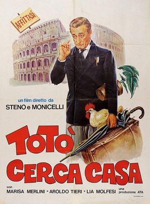 TOTO CERCA CASA
